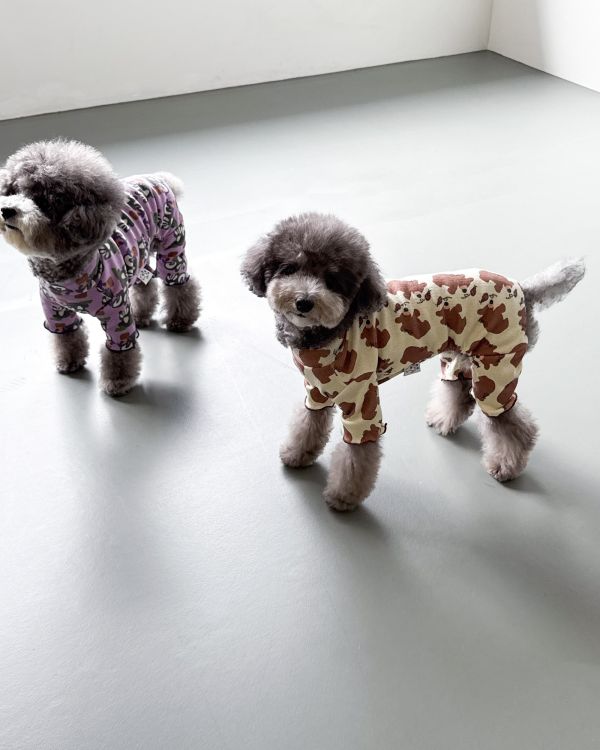 預購1028收單 | côte à côte 秋季小熊木耳邊四腳衣(SM-2XL) 寵物服飾,寵物選品,韓國寵物服飾,狗衣服,貓衣服,韓國寵物品牌,韓國寵物選品,韓國寵物春夏選品,寵物背心,COTEACOTE,韓國寵物品牌服飾,韓國寵物秋冬選品,寵物四腳衣,寵物連身褲,韓國冬天寵物,寵物保暖