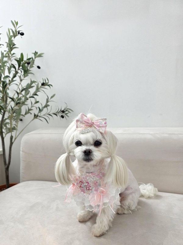 預購0305收單 | SOSO Delight 春季碎花刺繡手工領巾 寵物服飾,寵物選品,韓國寵物服飾,狗衣服,貓衣服,韓國寵物品牌