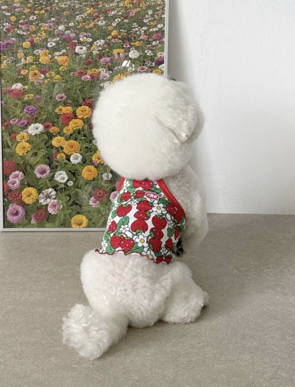 [ClusterRound] CRR大紅草莓涼感背心 寵物服飾,寵物選品,韓國寵物服飾,狗衣服,貓衣服,韓國寵物品牌,寵物配件