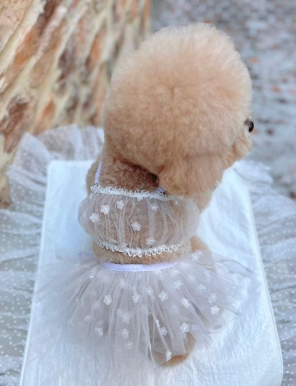 BuyAllDog | 薄紗透視澎裙(白) 寵物服飾,寵物選品,韓國寵物服飾,狗衣服,貓衣服,韓國寵物品牌