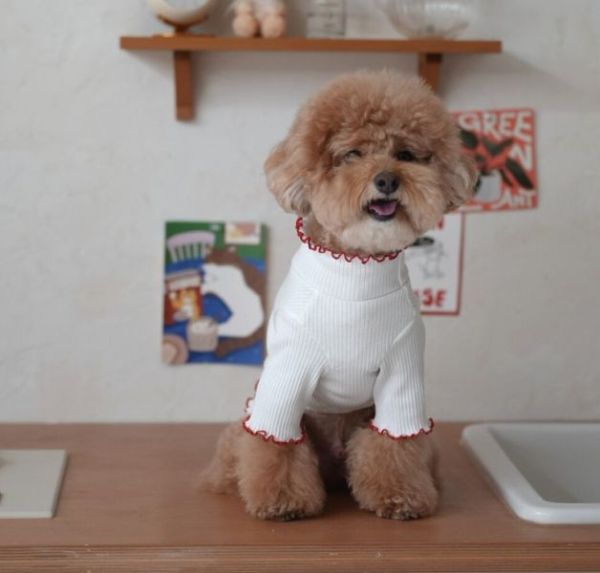 BELELE蘋果熊木耳邊坑條上衣(S-2XL) 寵物服飾,寵物選品,韓國寵物服飾,狗衣服,貓衣服,韓國寵物品牌,寵物有機棉,韓國寵物選品,韓國寵物秋冬選品,狗圍巾,寵物保暖,寵物保暖服飾,韓國寵物保暖服飾
