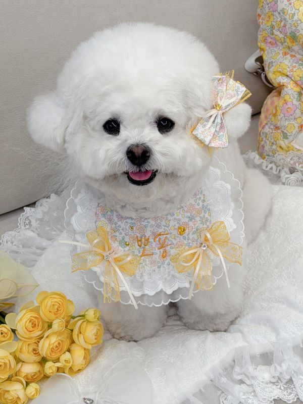 預購0305收單 | SOSO Delight 春季碎花刺繡手工領巾 寵物服飾,寵物選品,韓國寵物服飾,狗衣服,貓衣服,韓國寵物品牌