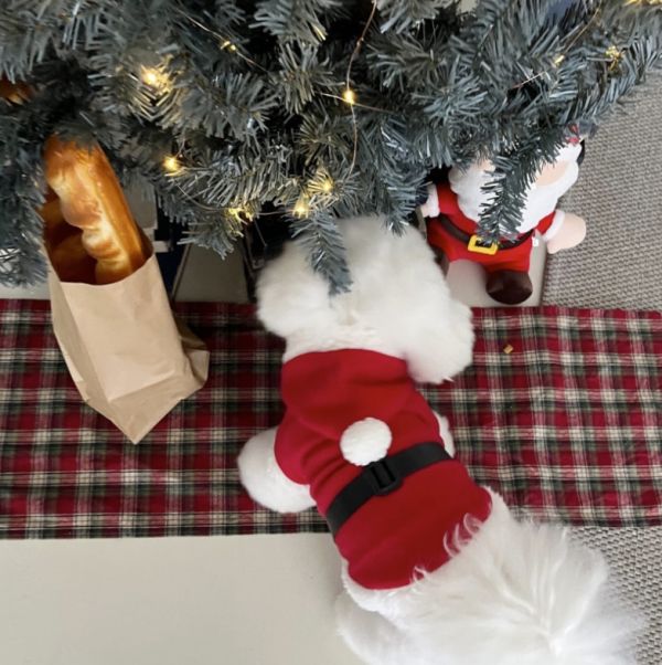 聖誕老公公衣服(M-XL) 寵物服飾,寵物選品,韓國寵物服飾,狗衣服,貓衣服,韓國寵物品牌,寵物有機棉,韓國寵物選品, 韓國寵物秋冬選品, 寵物聖誕領巾,聖誕節,聖誕派對,寵物聖誕,寵物聖誕衣