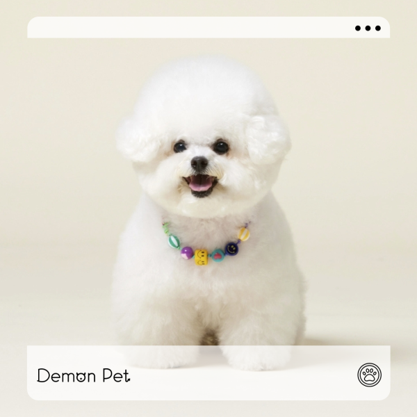 4DOGS | 微笑方塊可調式項鍊(S-L) 寵物服飾,寵物選品,韓國寵物服飾,狗衣服,貓衣服,韓國寵物品牌,寵物項鍊,4DOGS