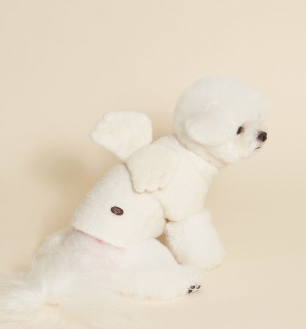 預購0115收單 | MLD 羊毛天使背心 (S-XL) 寵物服飾,寵物選品,韓國寵物服飾,狗衣服,貓衣服,韓國寵物品牌,寵物有機棉,韓國寵物選品,韓國寵物秋冬選品,狗四腳衣,寵物保暖,寵物保暖服飾,韓國寵物保暖服飾