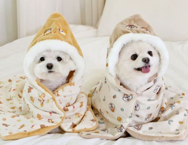 ITS DOG | 迪士尼授權奇奇蒂蒂雙面保暖毯-绗缝款FUN 寵物服飾,寵物選品,韓國寵物服飾,狗衣服,貓衣服,韓國寵物品牌,寵物有機棉,韓國寵物選品,韓國寵物秋冬選品,狗圍巾,寵物保暖,寵物保暖服飾,韓國寵物保暖服飾