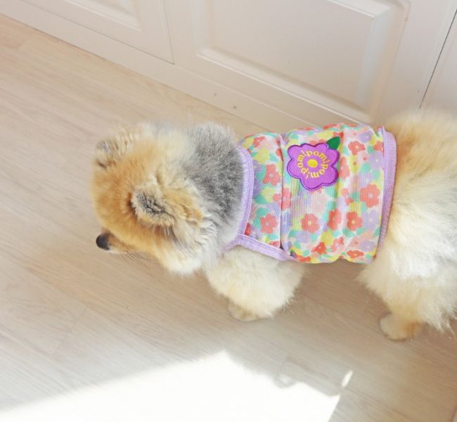 POMPOMPOM  | 花花夏日風透氣網眼背心(S-3XL) 寵物服飾,寵物選品,韓國寵物服飾,狗衣服,貓衣服,韓國寵物品牌,寵物有機棉,韓國寵物選品,韓國寵物春夏選品,寵物透氣衣服