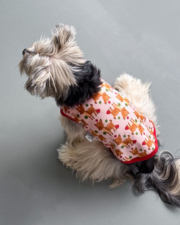 預購1028收單 | côte à côte 秋季梅花鹿無袖背心(SM-3XL) 寵物服飾,寵物選品,韓國寵物服飾,狗衣服,貓衣服,韓國寵物品牌,韓國寵物選品,韓國寵物春夏選品,寵物背心,COTEACOTE,韓國寵物品牌服飾,韓國寵物秋冬選品,寵物四腳衣,寵物連身褲,韓國冬天寵物,寵物保暖