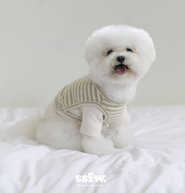 預購0902收單 | SSFW 軟萌小背心內搭組(三色S-2XL) 寵物服飾,寵物選品,韓國寵物服飾,狗衣服,貓衣服,韓國寵物品牌,寵物有機棉,韓國寵物選品,韓國寵物春夏選品,寵物可愛上衣,寵物涼感,SSFW,BITEME