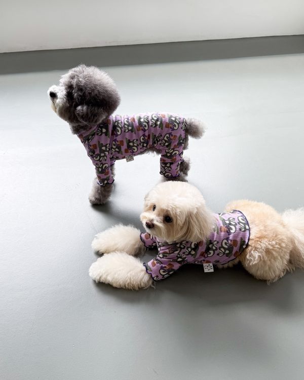 預購1028收單 | côte à côte 秋季紫色松鼠木耳邊上衣(SM-3XL) 寵物服飾,寵物選品,韓國寵物服飾,狗衣服,貓衣服,韓國寵物品牌,韓國寵物選品,韓國寵物春夏選品,寵物背心,COTEACOTE,韓國寵物品牌服飾,韓國寵物秋冬選品,寵物四腳衣,寵物連身褲,韓國冬天寵物,寵物保暖