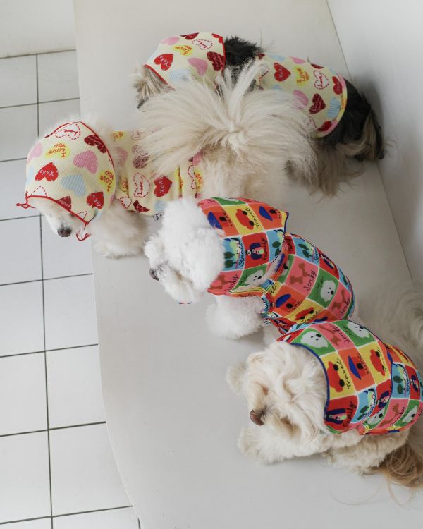 預購0410收單 | côte à côte 花布拼接背心(2色，SM-3XL) 寵物服飾,寵物選品,韓國寵物服飾,狗衣服,貓衣服,韓國寵物品牌,韓國寵物選品,韓國寵物春夏選品,寵物背心,COTEACOTE,韓國寵物品牌服飾,韓國寵物秋冬選品,寵物四腳衣,寵物連身褲,韓國冬天寵物,寵物保暖