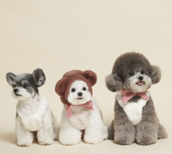 預購0115收單 | MLD 毛絨緞帶蝴蝶結背心(2色，S-XL) 寵物服飾,寵物選品,韓國寵物服飾,狗衣服,貓衣服,韓國寵物品牌,寵物有機棉,韓國寵物選品,胸背,胸背衣