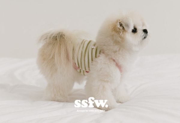 預購0419收單 | SSFW 條紋撞色可愛吊嘎(四色)(S-2XL) 寵物服飾,寵物選品,韓國寵物服飾,狗衣服,貓衣服,韓國寵物品牌,寵物有機棉,韓國寵物選品,韓國寵物春夏選品,寵物領巾