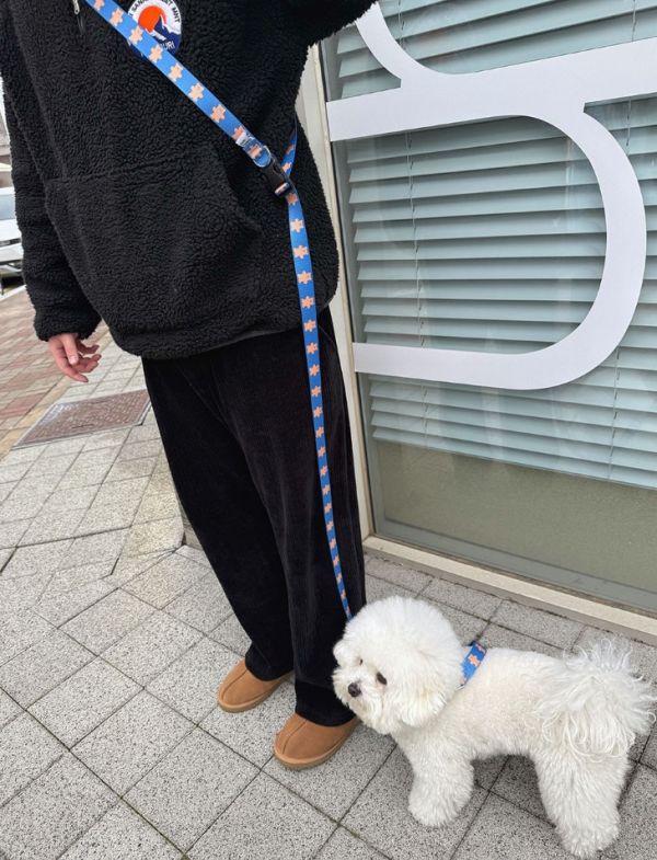 預購 | Ounce滿滿小熊頸圈與牽繩(S-M) 寵物服飾,寵物選品,韓國寵物服飾,狗衣服,貓衣服,韓國寵物品牌,韓國寵物選品,韓國寵物春夏選品,寵物頸圈,寵物牽繩