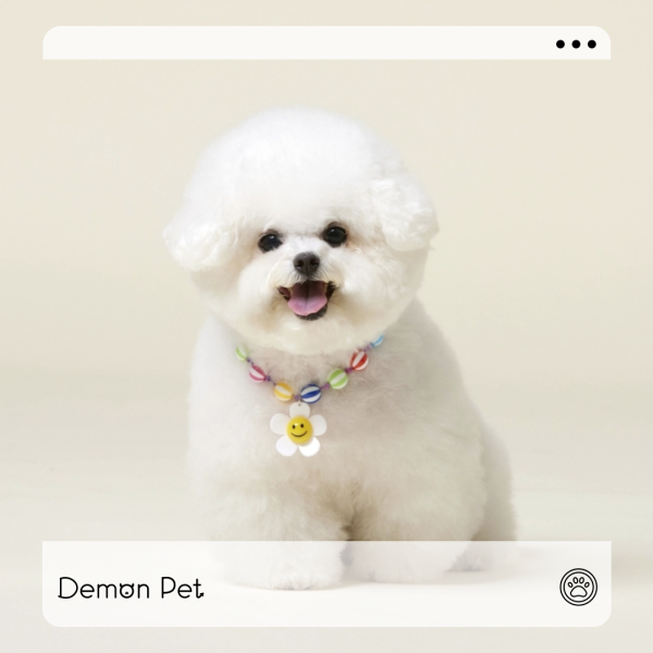 4DOGS | 微笑小雛菊糖果風可調式項鍊(S-L) 寵物服飾,寵物選品,韓國寵物服飾,狗衣服,貓衣服,韓國寵物品牌,寵物項鍊,4DOGS