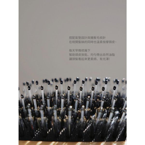 撫平毛躁!! 天然豬鬃毛氣墊梳 