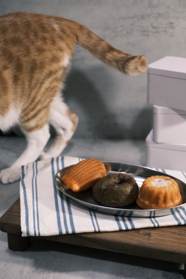 2026朵朵嚐嚐X欸吃甜點 公益甜點新年禮盒 新年公益甜點禮盒