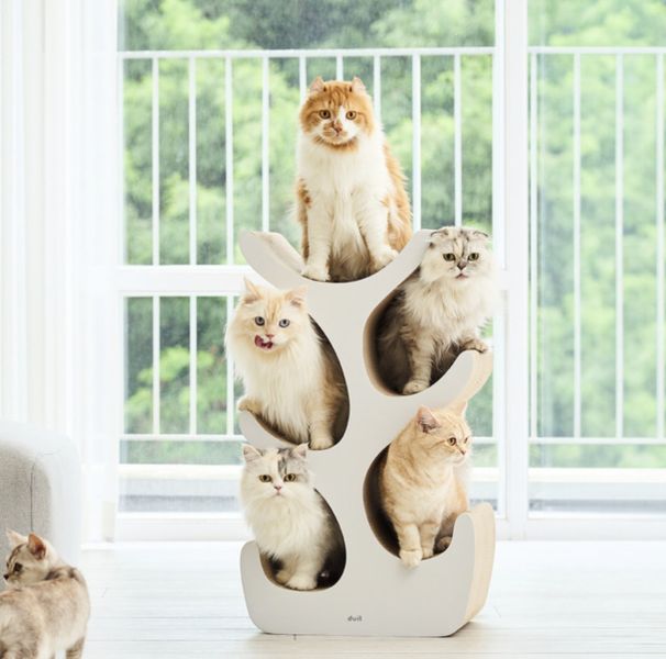 <duit>多貓貓抓樹 韓國duit貓抓板