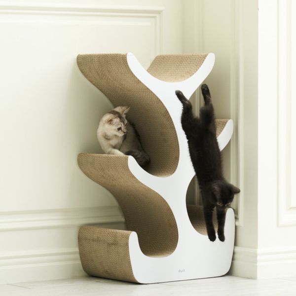 <duit>多貓貓抓樹 韓國duit貓抓板