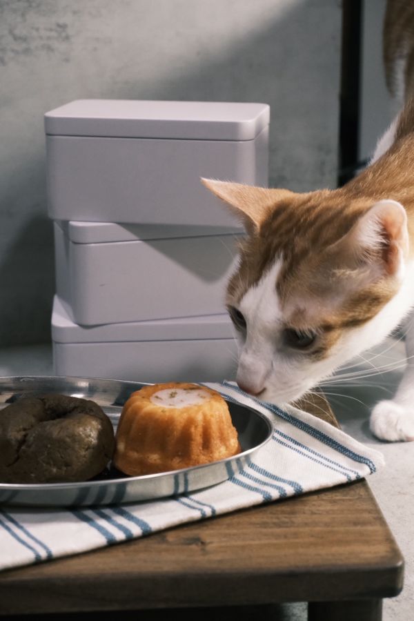 2026朵朵嚐嚐X欸吃甜點 公益甜點新年禮盒 新年公益甜點禮盒