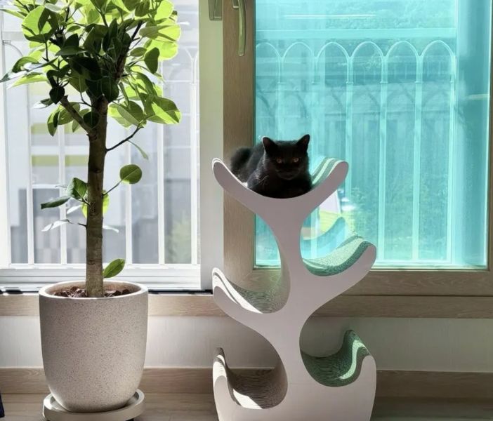 <duit>多貓貓抓樹 韓國duit貓抓板