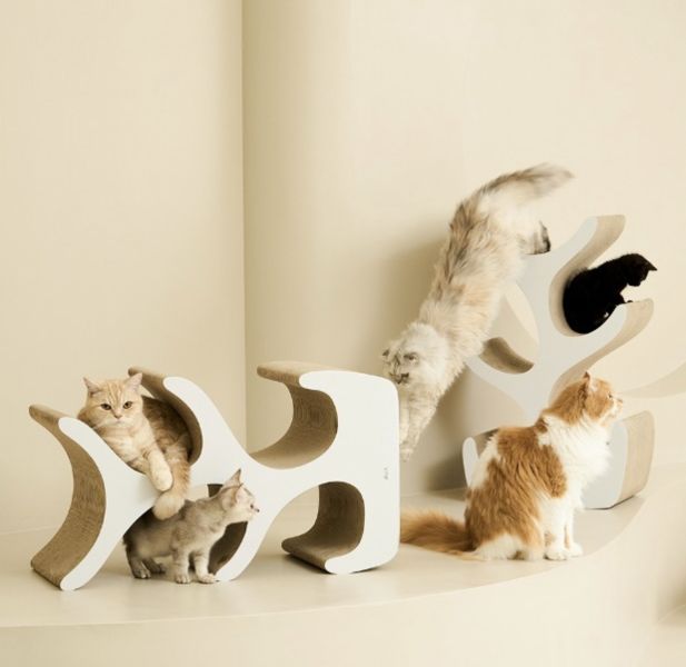 <duit>多貓貓抓樹 韓國duit貓抓板