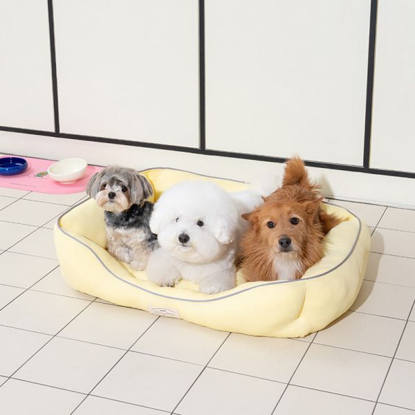 韓國puppy gallery 涼感床方形 