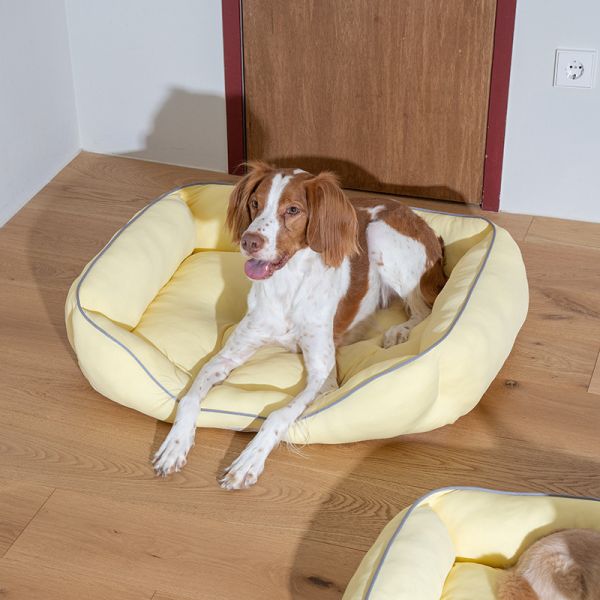 韓國puppy gallery 涼感床方形 