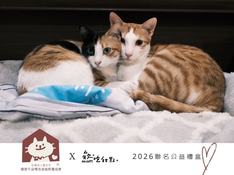 2026朵朵嚐嚐X欸吃甜點 公益甜點新年禮盒 新年公益甜點禮盒