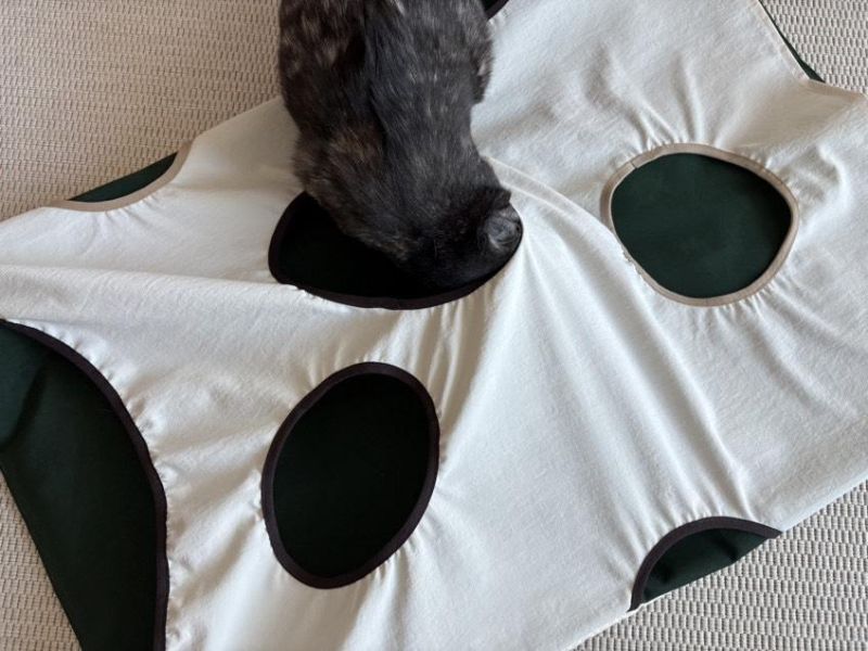 韓國OMU躲藏洞洞遊戲墊 