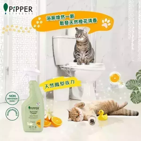 董娘好物團購｜PiPPER鳳梨酵素浴廁清潔劑(橙花) 500mlX2+補充包 400mlX2 