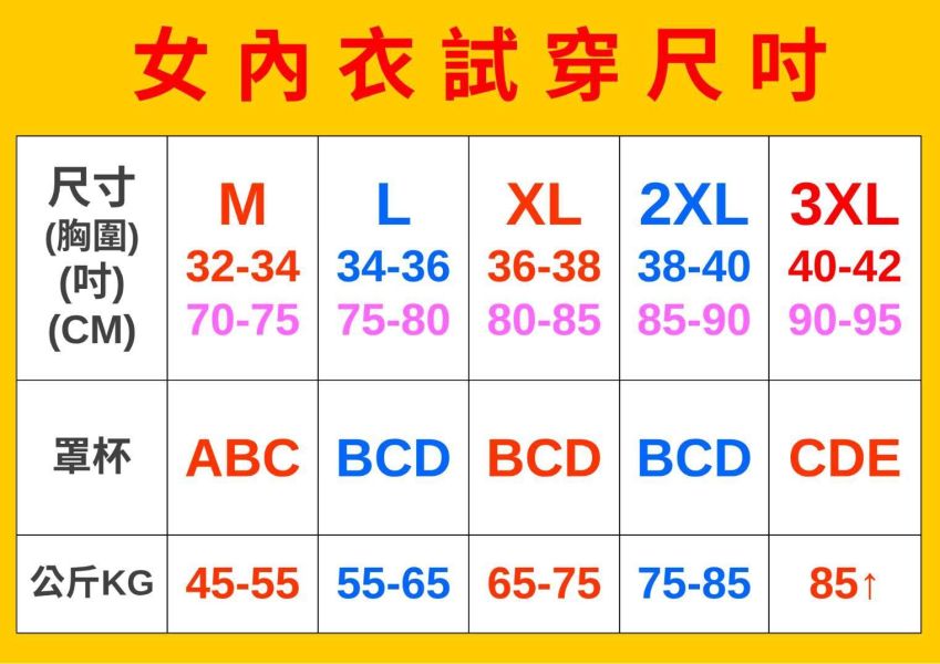 現貨140｜透氣提拉透氣內衣-B50 