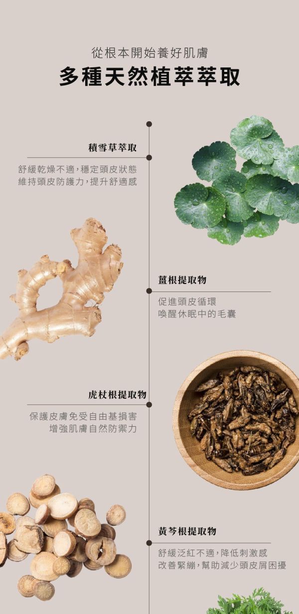 0399 Mystery 秘境植萃專利靈芝紅花養髮滋養液100ml-F72 