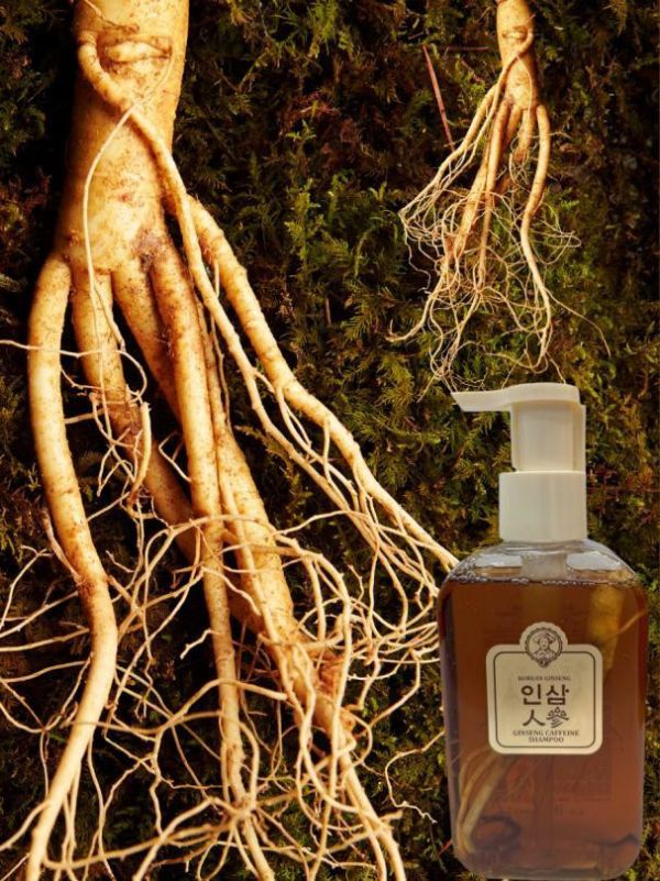 John Farmer人蔘咖啡因洗髮水 500ML 