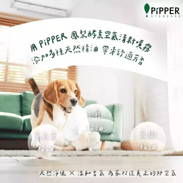 董娘好物團購｜PiPPER鳳梨酵素空氣清新噴霧(雨林)200ml 