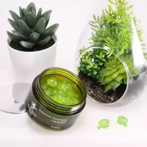 Delabela 親膚海藻植物膠囊15粒/1入 