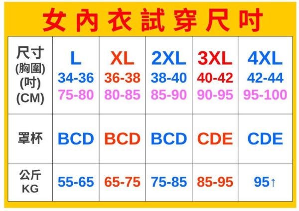 現貨559｜時尚美胸無痕內衣-C0 