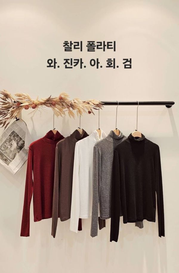 每年都爆款的打底天絲羊毛超彈力T (4 colors) 每年都爆款的打底天絲羊毛超彈力T