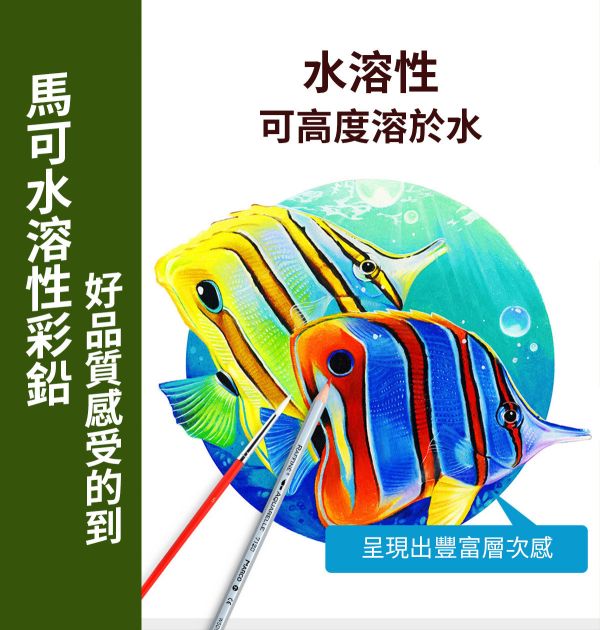 MARCO馬可拉菲尼 水溶性色鉛筆 48/72色 彩色筆,塗鴉筆,水性彩色筆,畫筆,祕密花園色筆,色鉛筆,標記筆,彩繪筆,彩繪筆,彩鉛水溶性色鉛筆,水性色鉛筆,油性色鉛筆