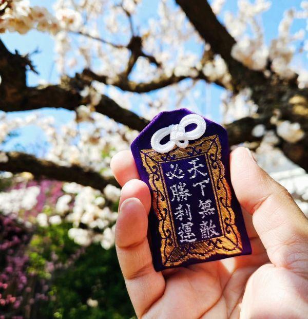 日本 水堂須佐男神社 / 熊野神社 / 北海道諏訪神社 / 素鵞神社 / 妙義神社 / 金櫻神社 /吉野神宮  / 烏森神社 絕版稀有御守集合 