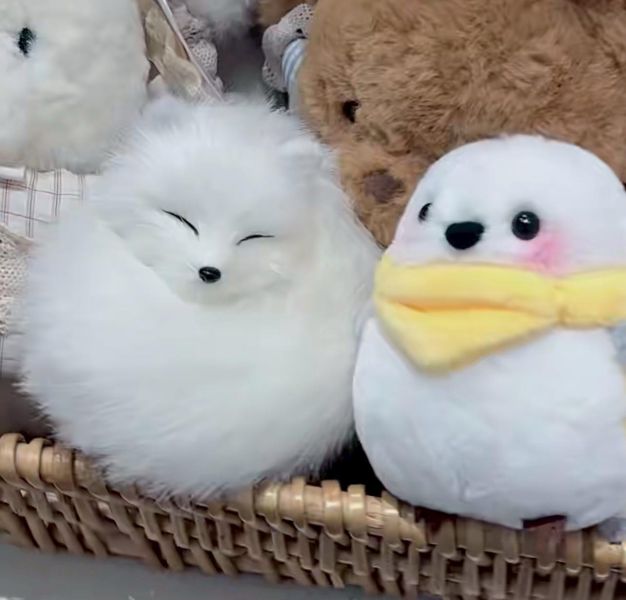 暖子獨家 療癒獨角獸 小羊玩偶 / 仿真鸚鵡山雀吊飾 / 福氣腮紅狐狸＋可愛尾巴吊飾零錢包 / 馬上有錢吊飾 / 微笑包款 