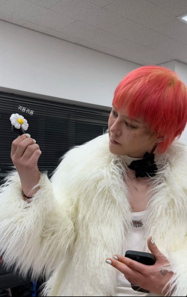 GD 雛菊手燈 / GD雛菊鑰匙圈 / GD花盆充電底座 / GD飯制手機殼 / GD聯名貓咪ZOA 