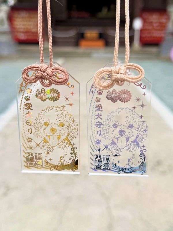 日本福島八幡宮 光影御守 / 日本彥嶽宮 透明鳳凰光影御守-熊野神社 光影御守 / 諫早神社 光影御守 / 護理人員看護守/哥吉拉御守 