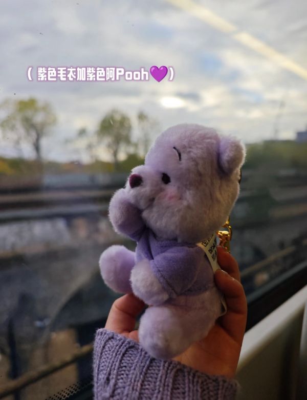 全球迪士尼 極度稀有 抹茶/雪白/薰衣草紫維尼/ 楓葉橘色維尼 