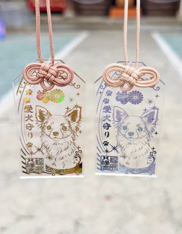 日本福島八幡宮 光影御守 / 日本彥嶽宮 透明鳳凰光影御守-熊野神社 光影御守 / 諫早神社 光影御守 / 護理人員看護守/哥吉拉御守 
