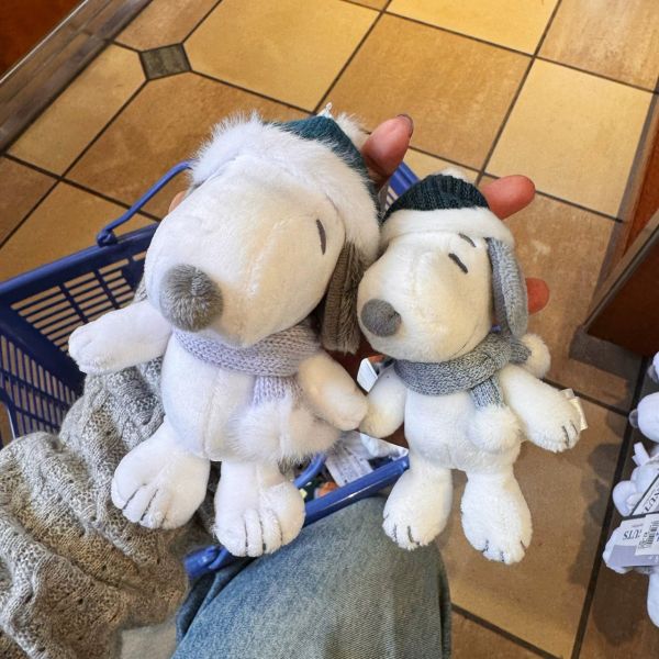 日本環球影城 冬季 史奴比/提姆熊 系列周邊 