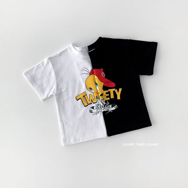 DSAINT  HipHanTwittyT 