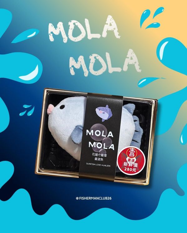 MOLA MOLA 曼波魚吊飾 