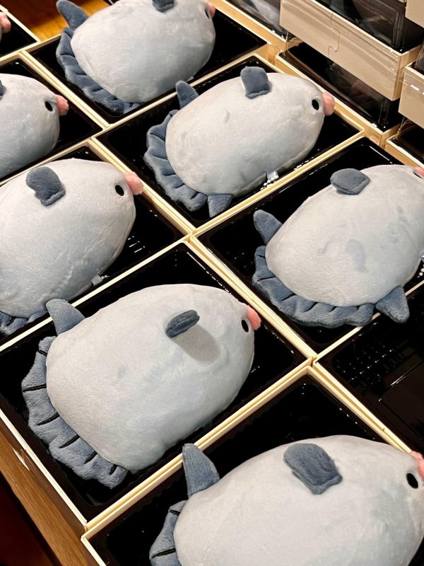 MOLA MOLA 曼波魚吊飾 