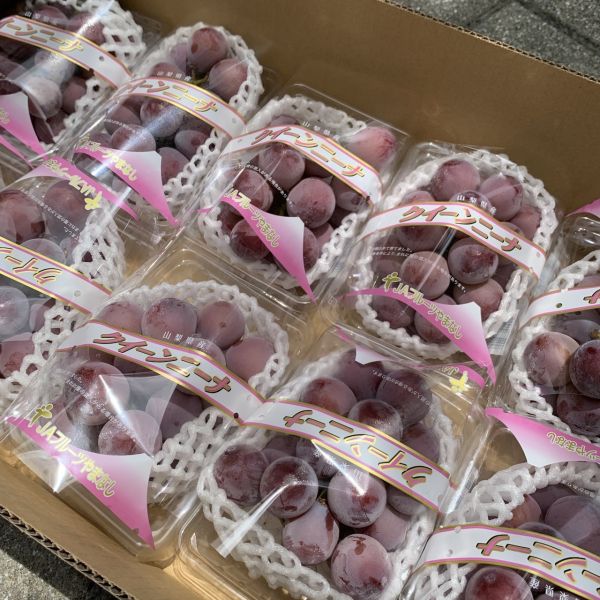 日本山梨妮娜皇后 